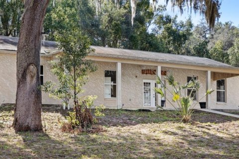 Casa en venta en Eustis, Florida, 6 dormitorios, 471.11 m2 № 2130036 - foto 2