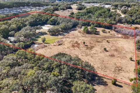 Casa en venta en Eustis, Florida, 6 dormitorios, 471.11 m2 № 2130036 - foto 5