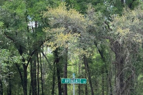 Land in Dunnellon, Florida № 2163533
