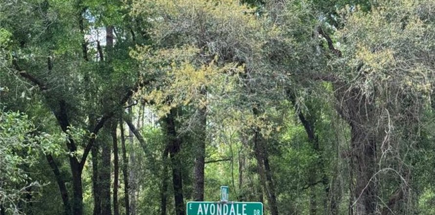 Land in Dunnellon, Florida № 2163533