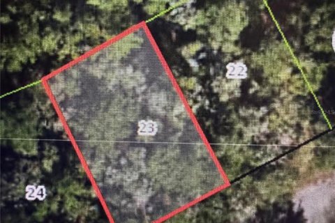Land in Dunnellon, Florida № 2163533 - photo 4