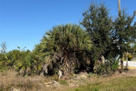 Land in Port Charlotte, Florida № 2160285 - photo 3