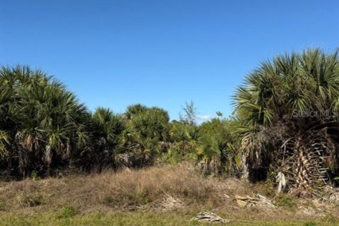 Land in Port Charlotte, Florida № 2160285 - photo 2