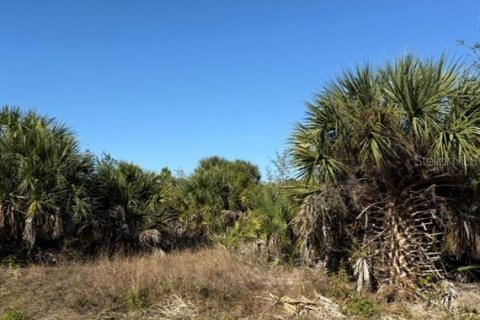 Land in Port Charlotte, Florida № 2160285