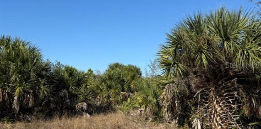 Land in Port Charlotte, Florida № 2160285