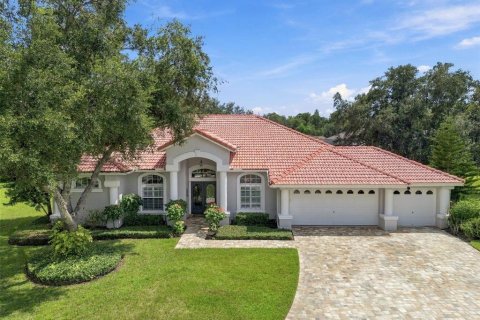 Villa ou maison à Odessa, Floride 4 chambres, 267.37 m2 № 2405628