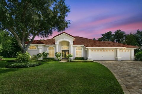 Villa ou maison à vendre à Odessa, Floride: 4 chambres, 267.37 m2 № 2405628 - photo 9