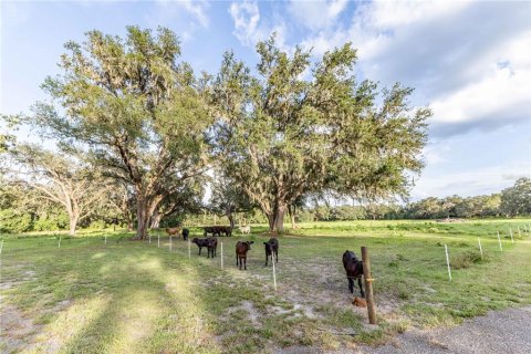 Terreno en venta en Webster, Florida № 1807413 - foto 9