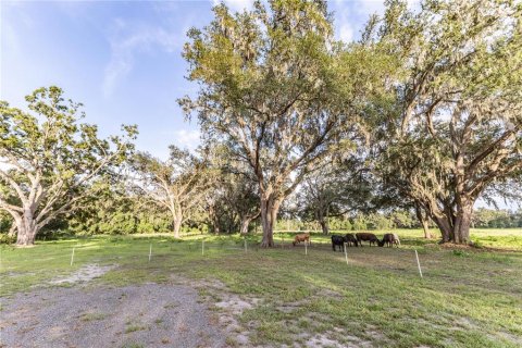 Terreno en venta en Webster, Florida № 1807413 - foto 5
