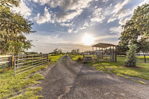 Terreno en venta en Webster, Florida № 1807413 - foto 21