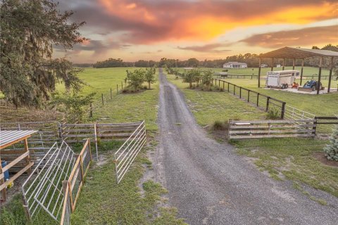 Terreno en venta en Webster, Florida № 1807413 - foto 4