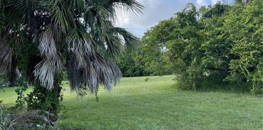 Land in Placida, Florida № 717461