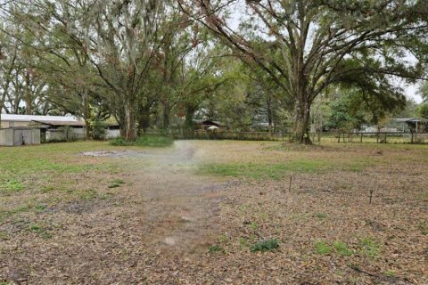 Land in Lakeland, Florida № 1769823 - photo 1