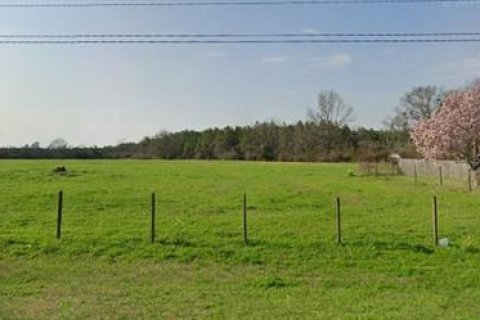 Land in Century, Florida № 2163781 - photo 2