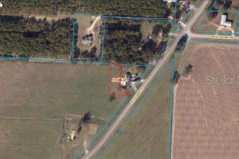 Land in Century, Florida № 2163781 - photo 4
