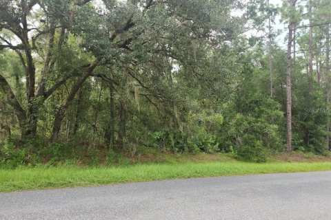 Terrain à vendre à Ocala, Floride № 1914859 - photo 1