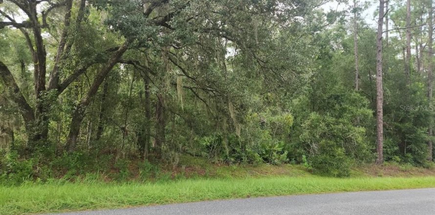 Terrain à Ocala, Floride № 1914859