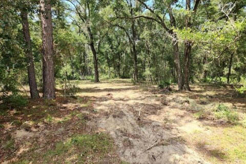 Terrain à vendre à Ocala, Floride № 1914859 - photo 2