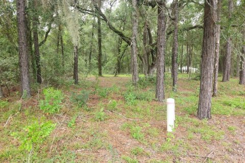 Terrain à vendre à Ocala, Floride № 1914859 - photo 4