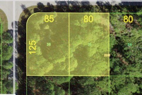 Land in Port Charlotte, Florida № 2164647