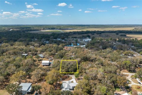 Terreno en venta en Lake Wales, Florida № 2103160 - foto 5