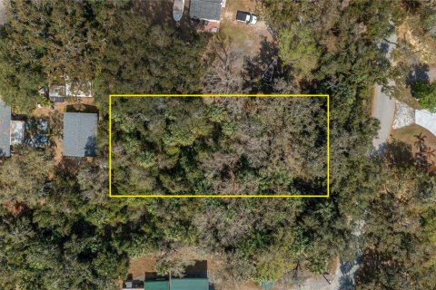 Terreno en venta en Lake Wales, Florida № 2103160 - foto 4