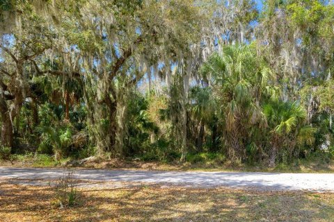 Terreno en venta en Lake Wales, Florida № 2103160 - foto 2