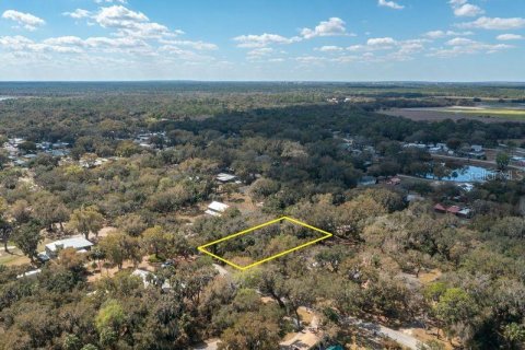 Terreno en venta en Lake Wales, Florida № 2103160 - foto 8