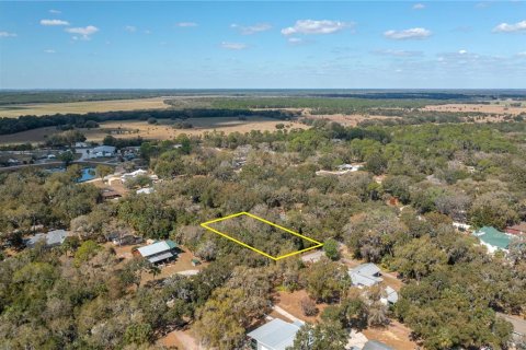 Terreno en venta en Lake Wales, Florida № 2103160 - foto 9