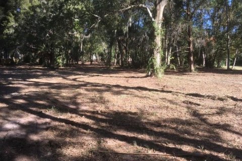 Terrain à vendre à Ocala, Floride № 2125429 - photo 8