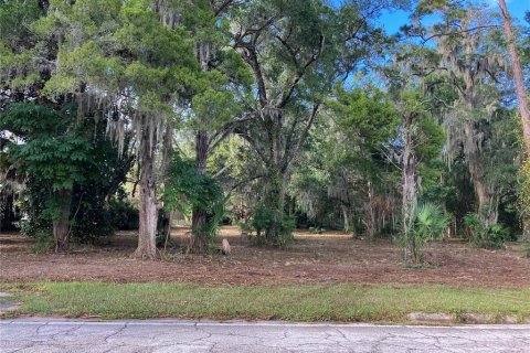 Terrain à vendre à Ocala, Floride № 2125429 - photo 6