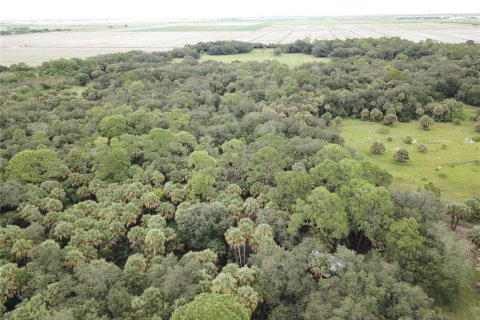 Terrain à vendre à Clewiston, Floride № 2139991 - photo 6
