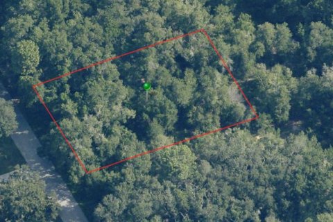 Terreno en Inverness, Florida № 2164397