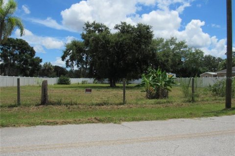 Terrain à vendre à Bradenton, Floride № 1877113 - photo 10