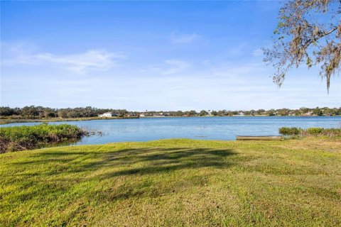 House in Dover, Florida 3 bedrooms, 234.49 sq.m. № 1545559 - photo 28