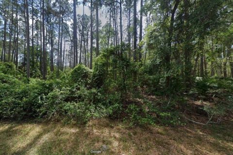 Land in Georgetown, Florida № 2160511 - photo 6