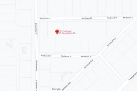 Land in Georgetown, Florida № 2160511 - photo 4