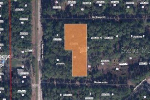 Land in Georgetown, Florida № 2160511 - photo 3