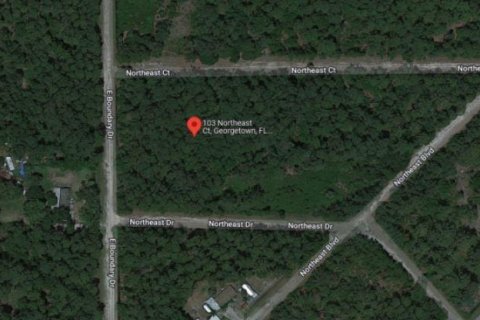 Land in Georgetown, Florida № 2160511 - photo 5