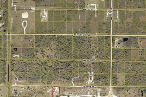 Land in Okeechobee, Florida № 950127 - photo 1