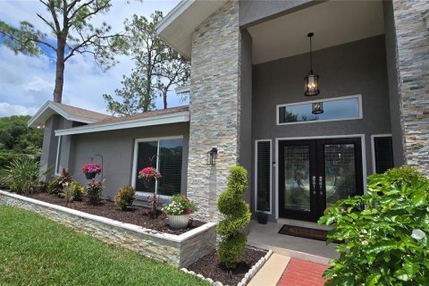 House in Palm Harbor, Florida 5 bedrooms, 305.37 sq.m. № 2166793 - photo 2