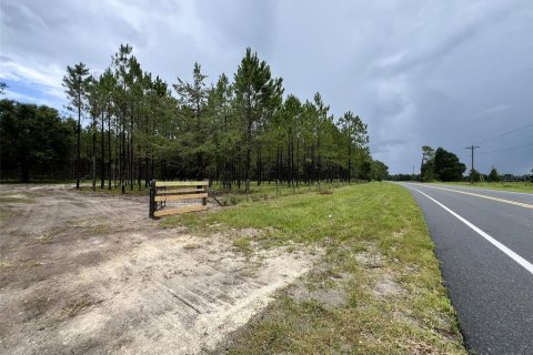 Terreno en venta en Branford, Florida № 1815066 - foto 16