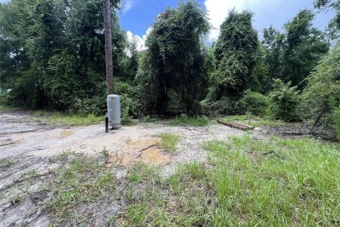 Terreno en venta en Branford, Florida № 1815066 - foto 8