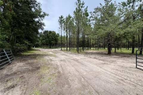 Terreno en venta en Branford, Florida № 1815066 - foto 4