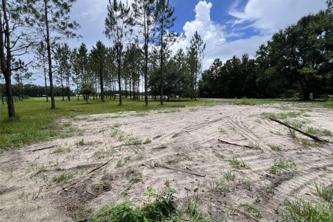 Terreno en venta en Branford, Florida № 1815066 - foto 11