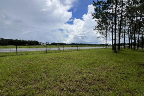 Terreno en venta en Branford, Florida № 1815066 - foto 14