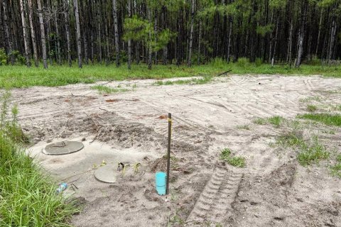 Terreno en venta en Branford, Florida № 1815066 - foto 10