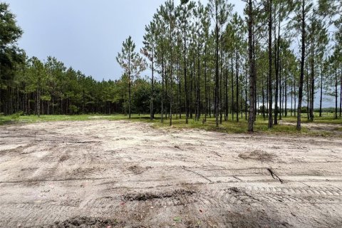 Terreno en venta en Branford, Florida № 1815066 - foto 6