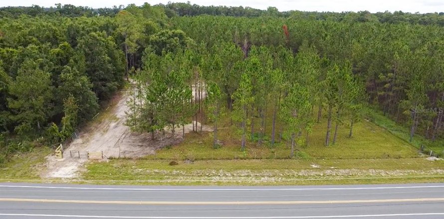 Terreno en Branford, Florida № 1815066
