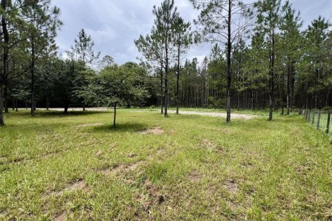 Terreno en venta en Branford, Florida № 1815066 - foto 12